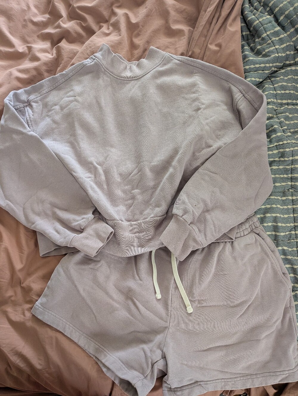 Everlane Lavender Cropped Sweatshirt